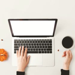 Thanksgiving Reflections from ITVibes, Houston, TX